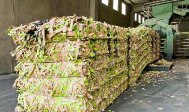 1574668075552108.png m29.png